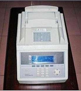 PCR扩增仪（ABI9700）