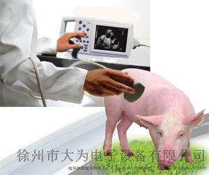 猪用B超机 母猪测孕仪 背膘测定仪 母猪用B超仪价格 B超机多少钱
