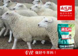 肉羊预混料牌子，北京赤乐川